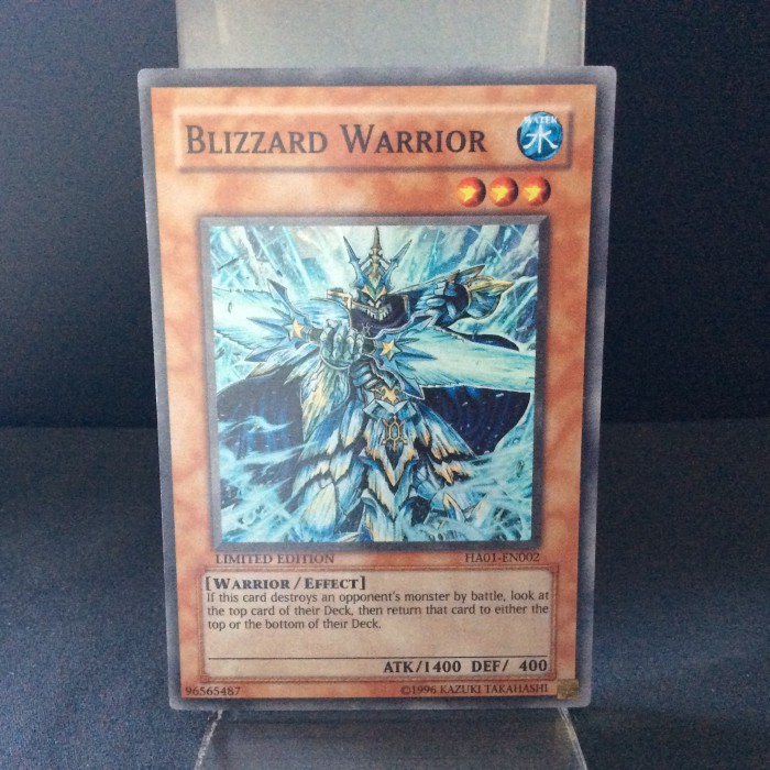 Blizzard Warrior
