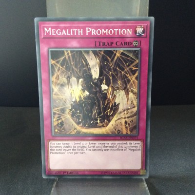 Megalith Promotion