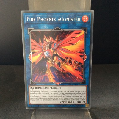 Fire Phoenix @Ignister
