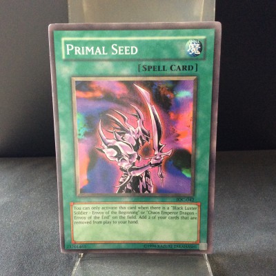 Primal Seed