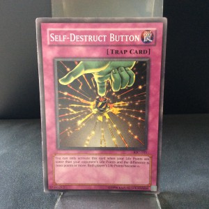 Self-Destruct Button