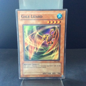 Gale Lizard