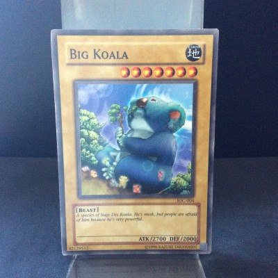 Big Koala
