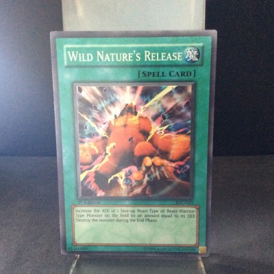 Wild Nature's Release