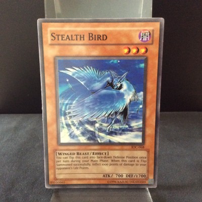 Stealth Bird