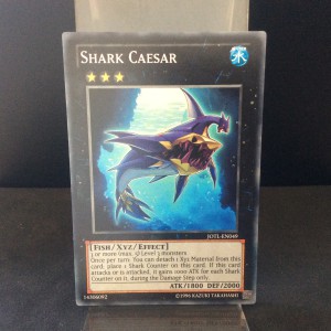 Shark Caesar