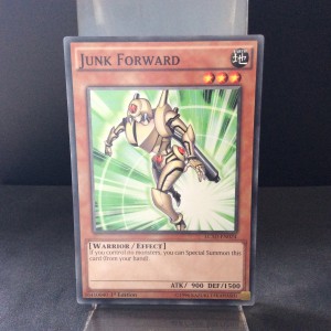 Junk Forward