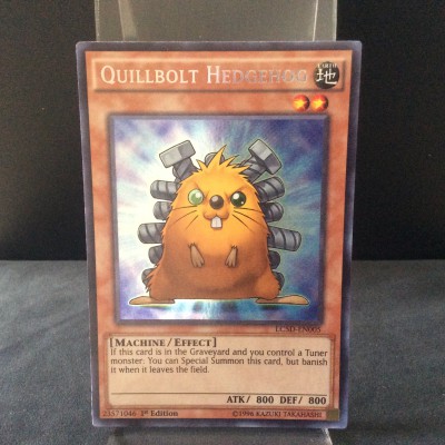 Quillbolt Hedgehog