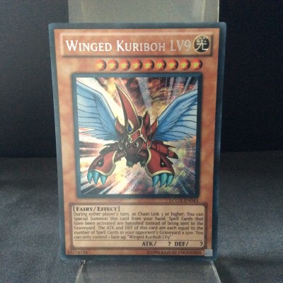 Winged Kuriboh LV9