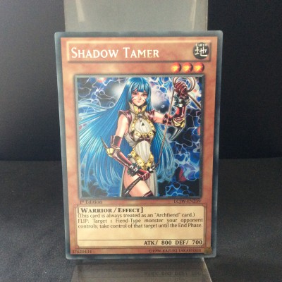 Shadow Tamer