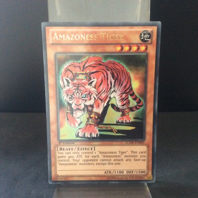 Amazoness Tiger