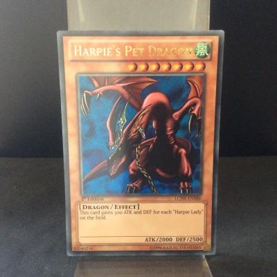 Harpie's Pet Dragon