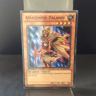 Amazoness Paladin