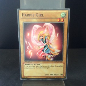 Harpie Girl