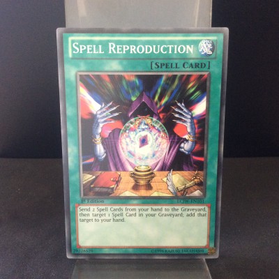 Spell Reproduction