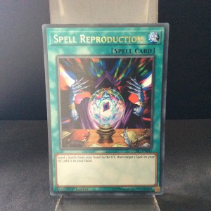 Spell Reproduction