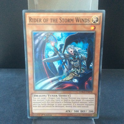 Rider of the Storm Winds