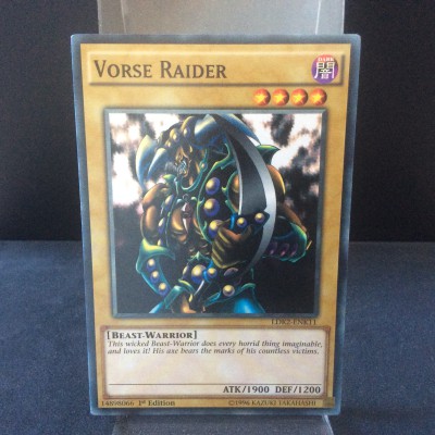 Vorse Raider