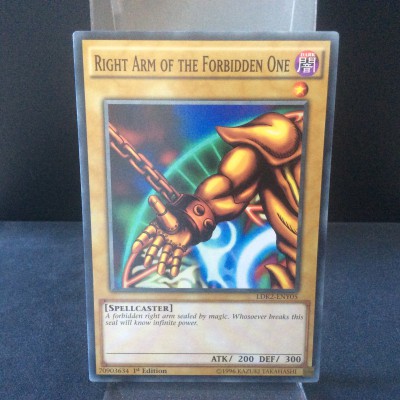 Right Arm of the Forbidden One