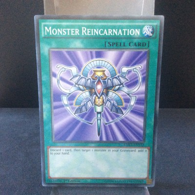 Monster Reincarnation