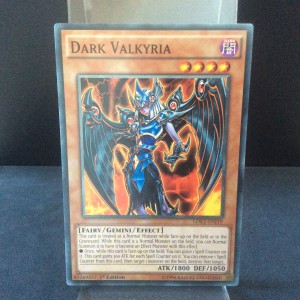 Dark Valkyria