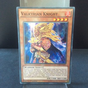 Valkyrian Knight
