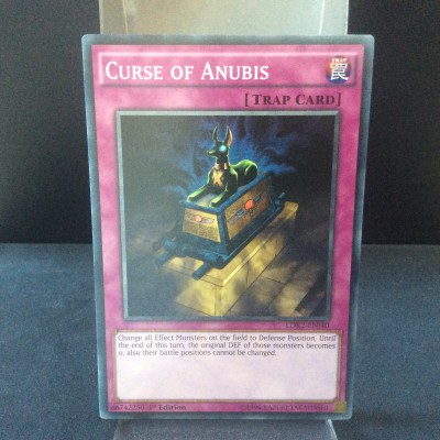 Curse of Anubis