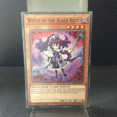 Witch of the Black Rose