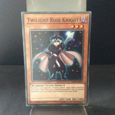Twilight Rose Knight