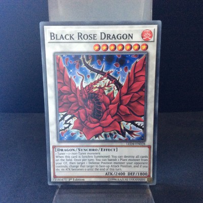 Black Rose Dragon