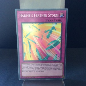 Harpie's Feather Storm