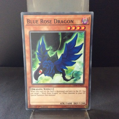 Blue Rose Dragon