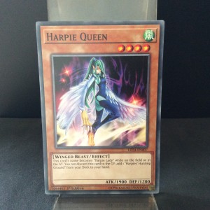 Harpie Queen