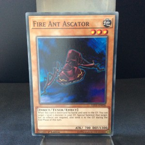 Fire Ant Ascator