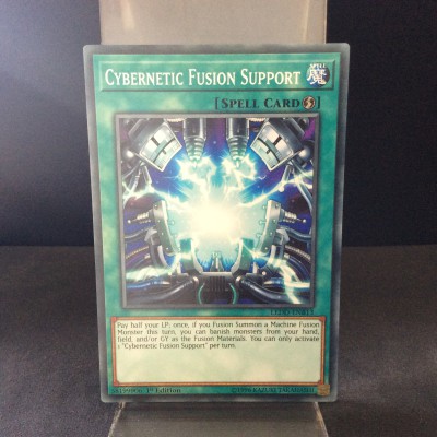 Cybernetic Fusion Support