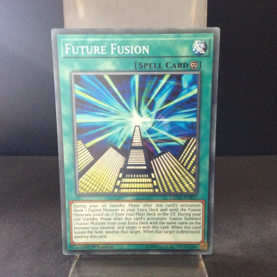 Future Fusion