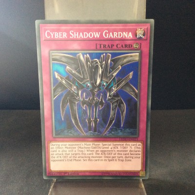 Cyber Shadow Gardna