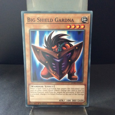 Big Shield Gardna