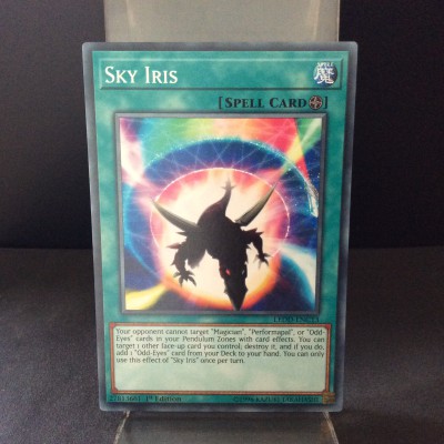 Sky Iris