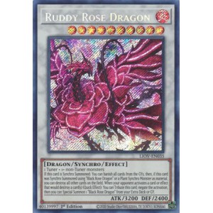 Ruddy Rose Dragon