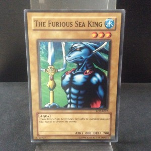 The Furious Sea King