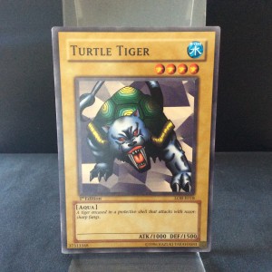 Turtle Tiger