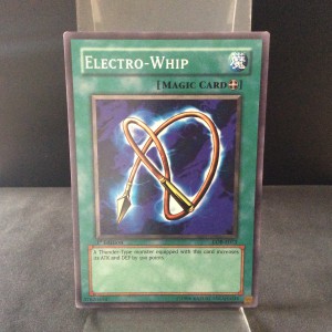 Electro-Whip
