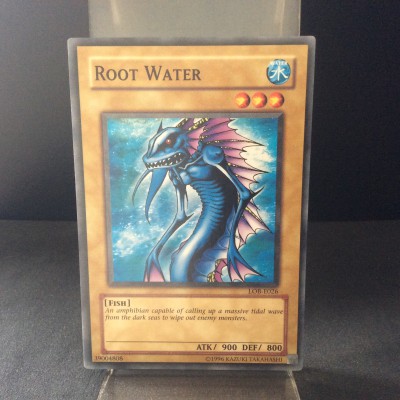 Root Water