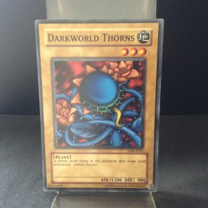 Darkworld Thorns