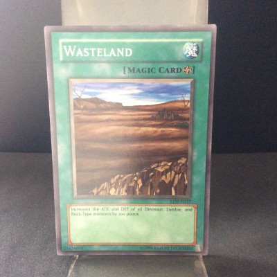 Wasteland