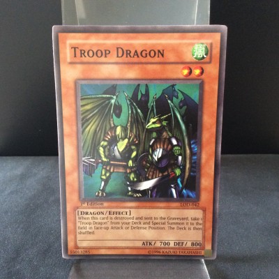 Troop Dragon