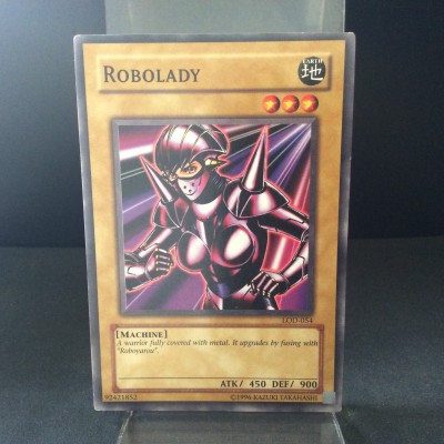 Robolady
