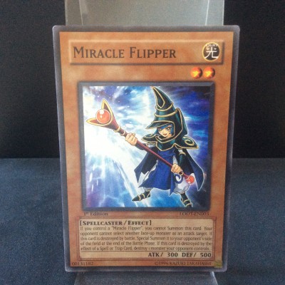 Miracle Flipper