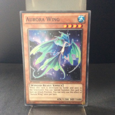 Aurora Wing